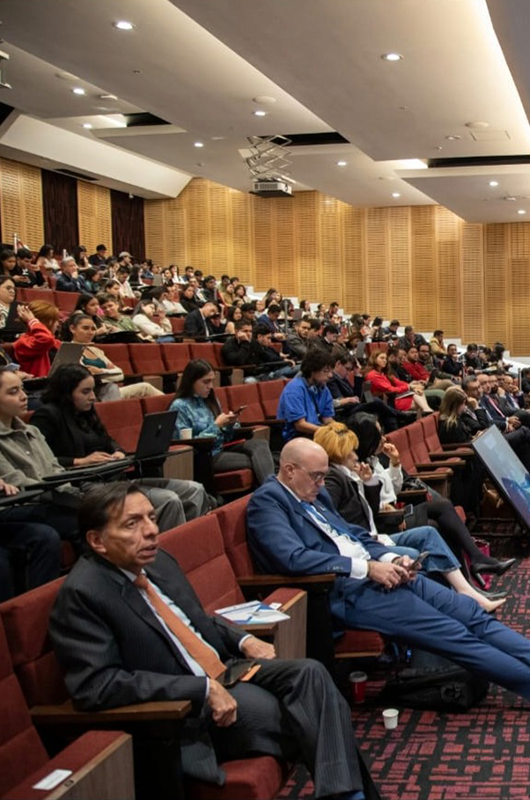 El Procedimiento Contencioso Electoral (el medio de control de Nulidad Electoral)