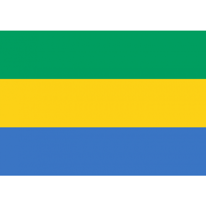 Bandera - República Gabonesa